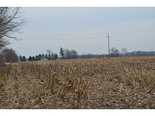 Property photo 35 - LAND AUCTION, 77 Acres offered in 3 Tracts